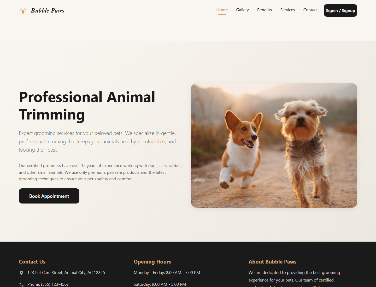 Bubble Paws responsive booking website case study by DROOM IT